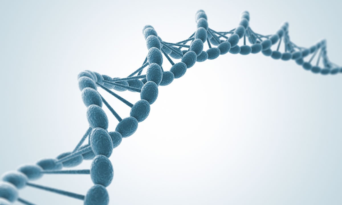 Et billede af en DNA streng.