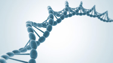Et billede af en DNA streng.