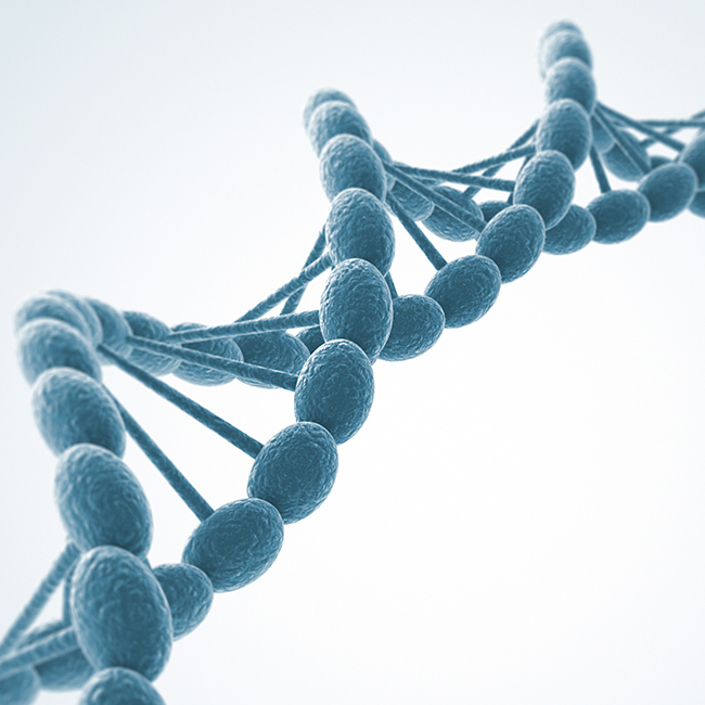 Et billede af en DNA streng.