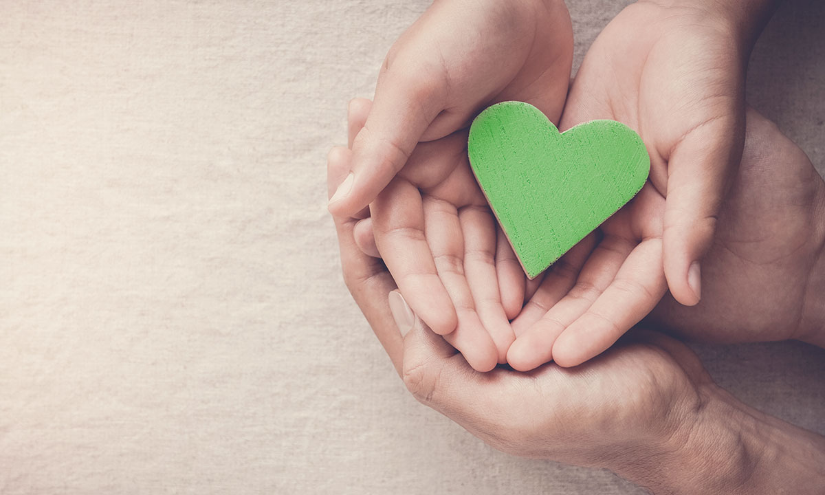 Hænder holder et grønt hjerte.